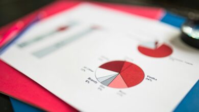 data verification report identifiers and numbers