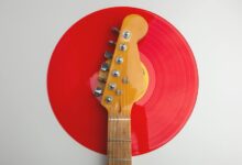 digital record inspection identifier details