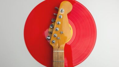 digital record inspection identifier details