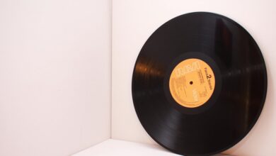 digital record inspection identifiers and password