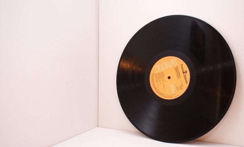 digital record inspection identifiers and password