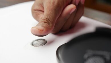 identifier accuracy scan results numbers listed