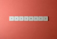 network record check ids listed