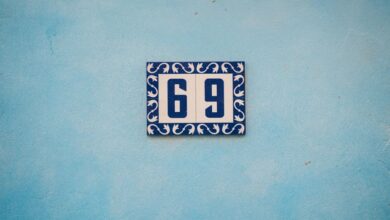 technical entry identifiers and ips