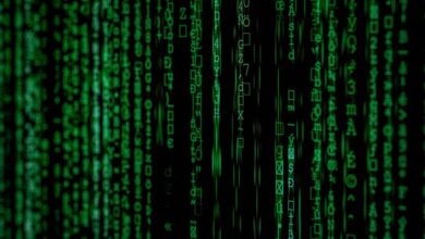 technical entry identifiers for individuals