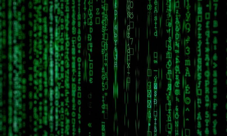 technical entry identifiers for individuals