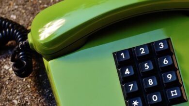 user phone numbers listed for validation