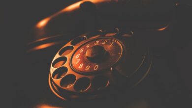 phone number lookup details provided