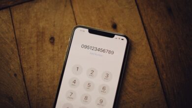 phone number lookup sources list