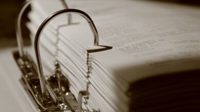 public registry findings summary