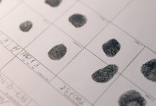 registry evidence for specific ids