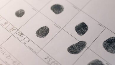 registry evidence for specific ids