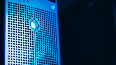 registry lookup for specified ids