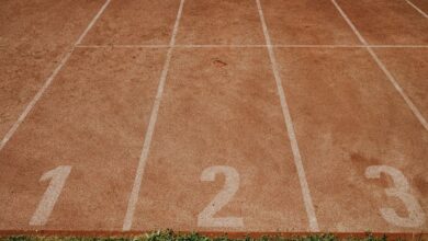 track registry lookup identifiers listed
